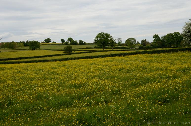 ENE-20140510-0359.jpg - Vareilles, Saône-et-Loire